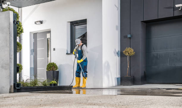 Best Sidewalk and Walkway Cleaning  in Omaha, NE